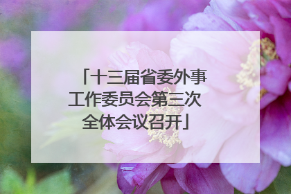 十三届省委外事工作委员会第三次全体会议召开