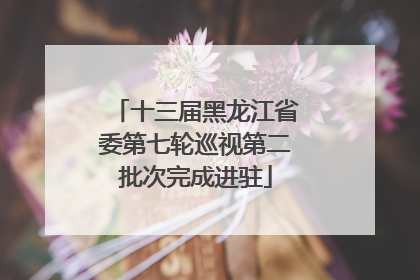 十三届黑龙江省委第七轮巡视第二批次完成进驻