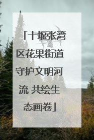 十堰张湾区花果街道守护文明河流 共绘生态画卷