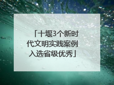 十堰3个新时代文明实践案例入选省级优秀