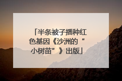 半条被子播种红色基因《沙洲的“小树苗”》出版