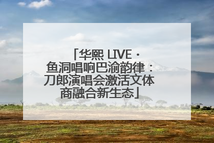 华熙 LIVE・鱼洞唱响巴渝韵律：刀郎演唱会激活文体商融合新生态