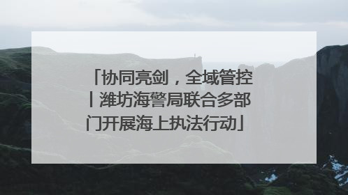 协同亮剑，全域管控丨潍坊海警局联合多部门开展海上执法行动