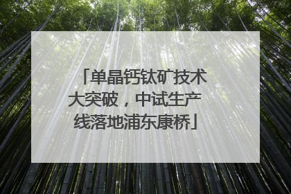 单晶钙钛矿技术大突破，中试生产线落地浦东康桥