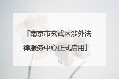 南京市玄武区涉外法律服务中心正式启用