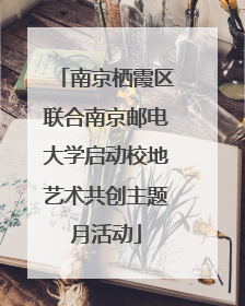 南京栖霞区联合南京邮电大学启动校地艺术共创主题月活动