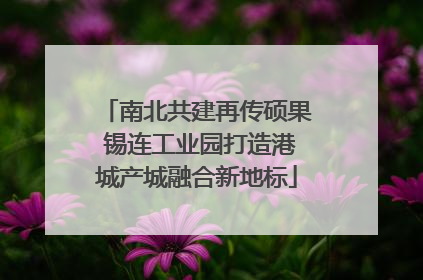 南北共建再传硕果 锡连工业园打造港城产城融合新地标