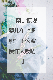 南宁惊现婴儿车“遛鸭”！这波操作太吸睛