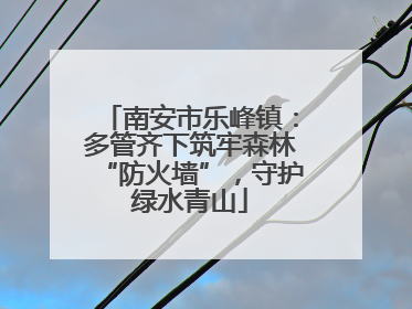 南安市乐峰镇：多管齐下筑牢森林“防火墙”，守护绿水青山