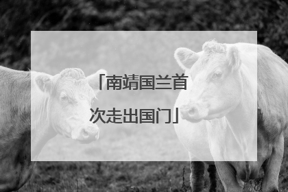 南靖国兰首次走出国门