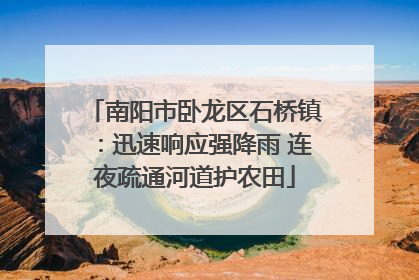 南阳市卧龙区石桥镇：迅速响应强降雨 连夜疏通河道护农田