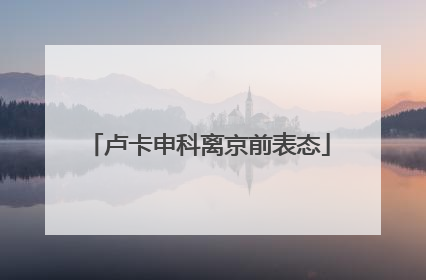卢卡申科离京前表态