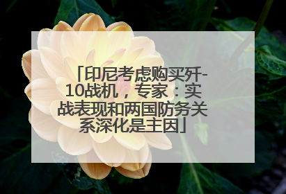 印尼考虑购买歼-10战机，专家：实战表现和两国防务关系深化是主因
