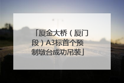 厦金大桥（厦门段）A3标首个预制墩台成功吊装