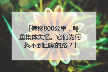 偏移800公里，鲱鱼集体失忆。它们为何找不到回家的路？