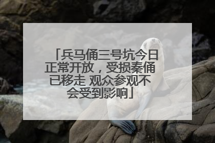 兵马俑三号坑今日正常开放，受损秦俑已移走 观众参观不会受到影响