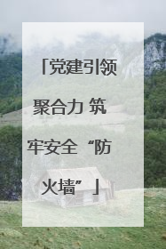 党建引领聚合力 筑牢安全“防火墙”