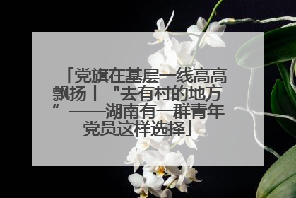 党旗在基层一线高高飘扬丨“去有村的地方”——湖南有一群青年党员这样选择