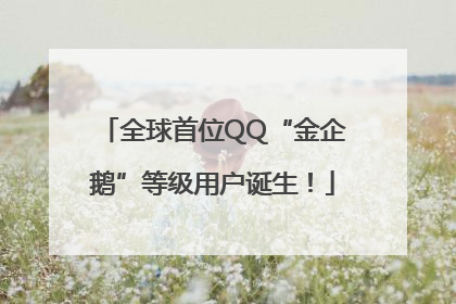 全球首位QQ“金企鹅”等级用户诞生！