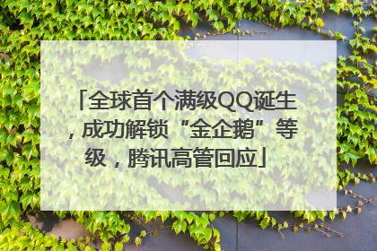 全球首个满级QQ诞生，成功解锁“金企鹅”等级，腾讯高管回应