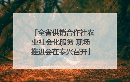 全省供销合作社农业社会化服务 现场推进会在泰兴召开