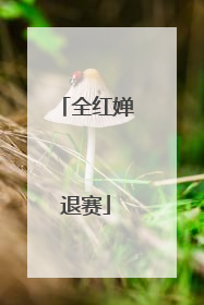 全红婵退赛