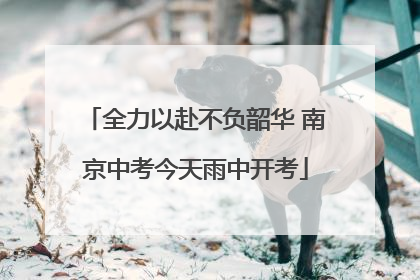 全力以赴不负韶华 南京中考今天雨中开考