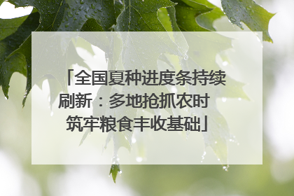 全国夏种进度条持续刷新：多地抢抓农时 筑牢粮食丰收基础