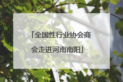 全国性行业协会商会走进河南南阳