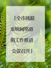 全市残联系统网络募捐工作推进会议召开