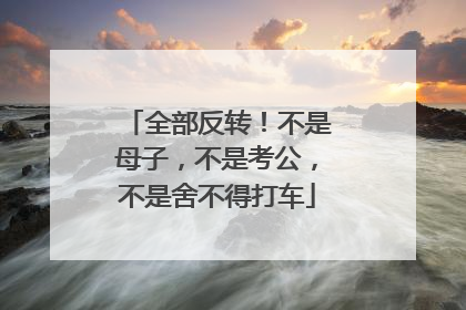 全部反转！不是母子，不是考公，不是舍不得打车