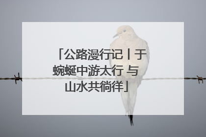 公路漫行记丨于蜿蜒中游太行 与山水共徜徉
