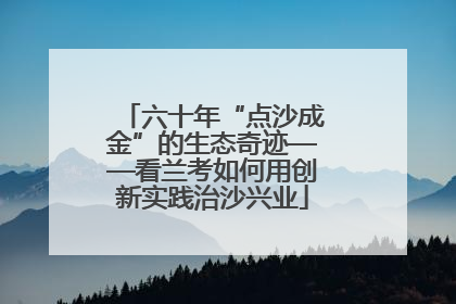 六十年“点沙成金”的生态奇迹——看兰考如何用创新实践治沙兴业