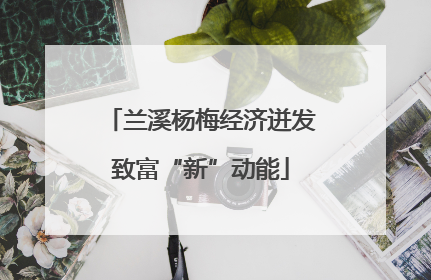 兰溪杨梅经济迸发致富“新”动能