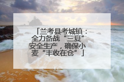 兰考县考城镇：全力备战“三夏”安全生产，确保小麦“丰收在仓”