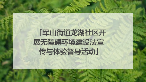 军山街道龙湖社区开展无障碍环境建设法宣传与体验督导活动