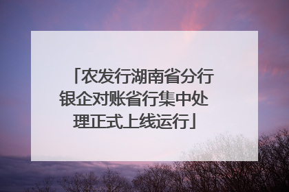 农发行湖南省分行银企对账省行集中处理正式上线运行