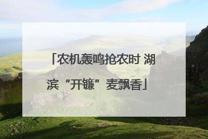 农机轰鸣抢农时 湖滨“开镰”麦飘香