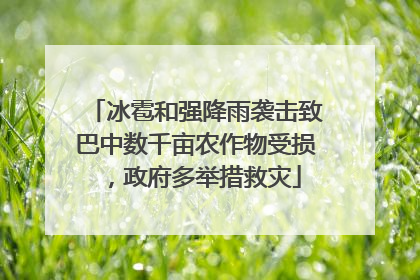 冰雹和强降雨袭击致巴中数千亩农作物受损，政府多举措救灾