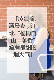 凌晨摘、清晨卖，江北“杨梅自由一条街”藏着最甜的烟火气