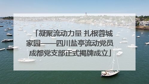 凝聚流动力量 扎根蓉城家园——四川盐亭流动党员成都党支部正式揭牌成立