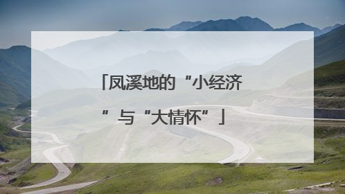 凤溪地的“小经济”与“大情怀”