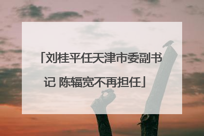 刘桂平任天津市委副书记 陈辐宽不再担任