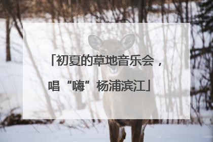 初夏的草地音乐会，唱“嗨”杨浦滨江