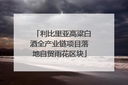 利比里亚高粱白酒全产业链项目落地自贸雨花区块