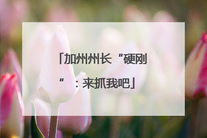 加州州长“硬刚”：来抓我吧