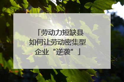 劳动力短缺县 如何让劳动密集型企业“逆袭”