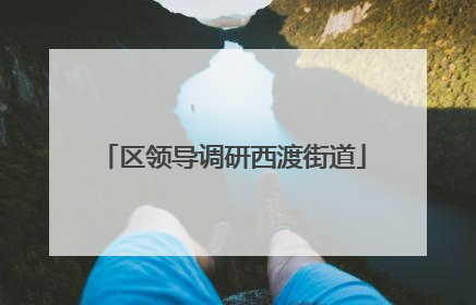 区领导调研西渡街道