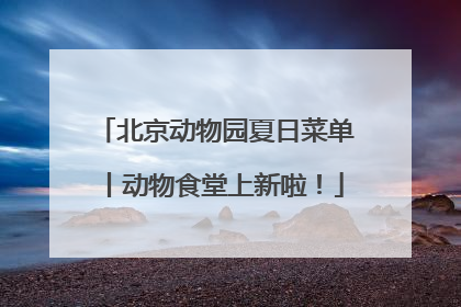 北京动物园夏日菜单丨动物食堂上新啦！