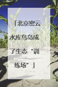 北京密云水库鸟岛成了生态“训练场”
